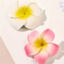 발리헤어