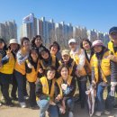 무궁화비료 이미지