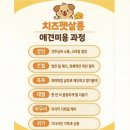 슈나랑베키랑애견미용실 | [오송 애견미용] 치즈펫살롱 내돈내산 후기! 우리 집 말티즈 공주님 변신 완료 ✨