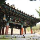 호랑이형제 이미지