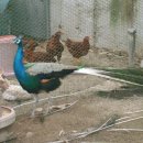 수정농장 이미지