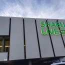 샤브라이브 이미지