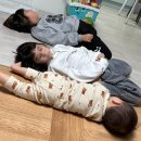 충주어린이집 | 충주 실내 동물원 "즐겁쥬" 후기