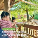 버드벨리 | 에버랜드 사파리 리버트레일 두 돌아기 강추 버드쇼 큐패스 예약