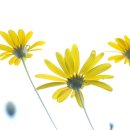 언더스텐 - 중구 중앙로129번길 30 | 언더스텐