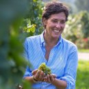 벨라비스타 이미지