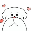 경남자동차전문정비 이미지