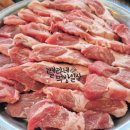 119딧고기 이미지