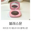 블레스문 라이크어섀도우 05블랙스완 글리터 아이섀도우 후기