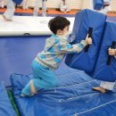 한우리태권도 이미지