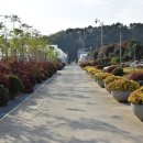 거제식물원 이미지