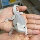 짬뽕지존 향남점 | 향남 2지구 짬뽕지존 내돈내산 후기