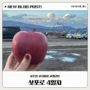 E-005 | [4일차]삿포로는 세 번 가도 처음 같다 (feat.온천,요이치,증류소,와이너리)