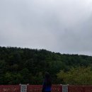 오나민박 이미지