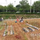 텃밭2