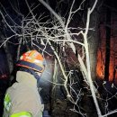 대원관광농원 이미지