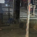 내돈내산 강아지 야간산책 필수템, 지니하우스 LED 리드줄로 안전한 산책