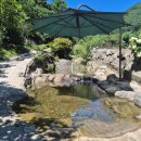 별이 쏟아지는 민박 이미지