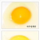 에덴양계장 이미지