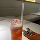 깔끔하군 | 붕따우 맛집 추천 | 유럽 감성 레스토랑 다녀온날 | 조지아 음식 먹어본 후기 | Munterra Vung Tau