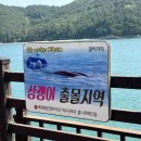 백야바다 네이버블로그