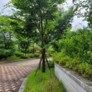 충무공초교 앞 이미지