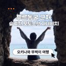 네모난수족관 | 오키나와 숨겨진 포토스팟 자네비치, 푸른동굴 근처 뚜벅이 여행 후기