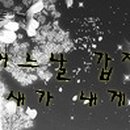 DE052 이미지