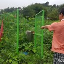 광덕지하수