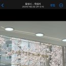 정관장짬뽕