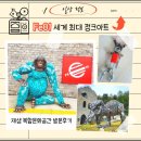 대상 아이캔태권스쿨 | 【HO.정보】Fe01 세계 최대 정크아트 재생 복합문화공간 방문 후기