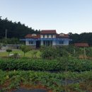 보령명성공인중개사사무소 | [보령 주택 매매] 충남 오천면 교성리 371평 신축급 단독주택 3억 5천