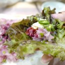 신명3길 | 양산 향어회가 일품인 평산동 맛집 진미향어
