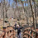 삼일동 주민센터 | 3월 여수 여행 :: 2026년 여수 영취산 진달래축제 굿