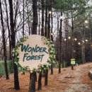 플레이라움(PLAYRAUM) | 파주 독채 반려견 운동장 '플레이라움'에서 뛰뛰한 후기! (내돈내산, 대만족)