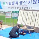 단지회 Daum카페