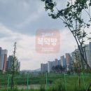 봉담퍼펙트공인중개사사무소 이미지