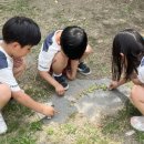 구암동498 이미지