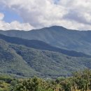 번지를 잘못찾아 꽃 기경은 물 건너 가고! - 경주 문무대왕면 작은 산 오르내리고 경주민속공예촌으로~ 이미지