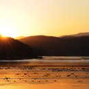 창녕 우포늪 이미지