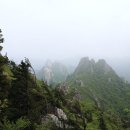 시영아파트 앞 버스정류장 이미지