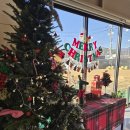 강생이네 | 부산 #남쪽강생이 솔직후기