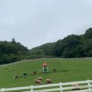 풀내음목장 이미지