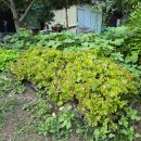 하얀여울 이미지