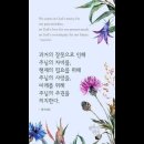 오늘의 &#39;신앙 명언&#39;(45강) 성 어거스틴(Saint Augustine) 이미지