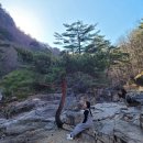 강원도 동해 템플스테이 삼화사 2박3일 후기
