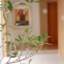 나무메디 이미지