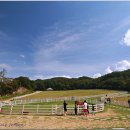 더불어목장 이미지