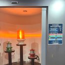 오동도 광장 | 여수 오동도 동백열차 시간, 타는 곳, 예약 정보