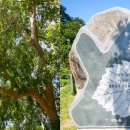 목교농장 이미지